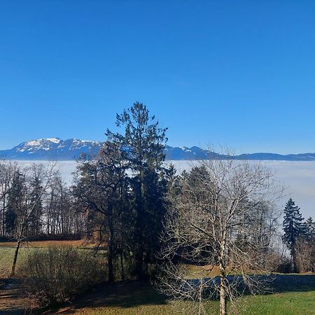 Gemuetliche Wohnung Mit Talblick Batschuns Eksteriør bilde