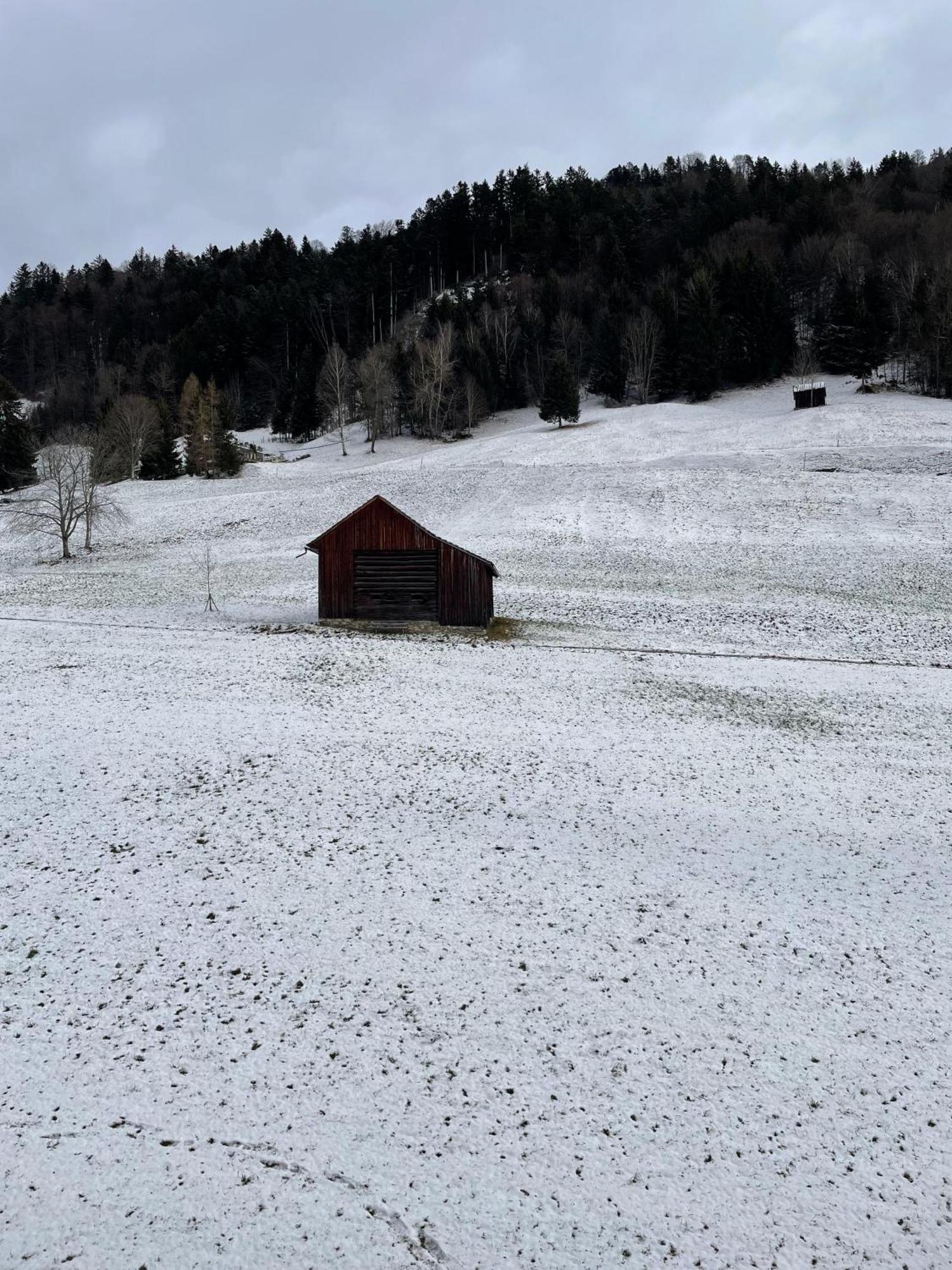 Gemuetliche Wohnung Mit Talblick Batschuns Eksteriør bilde
