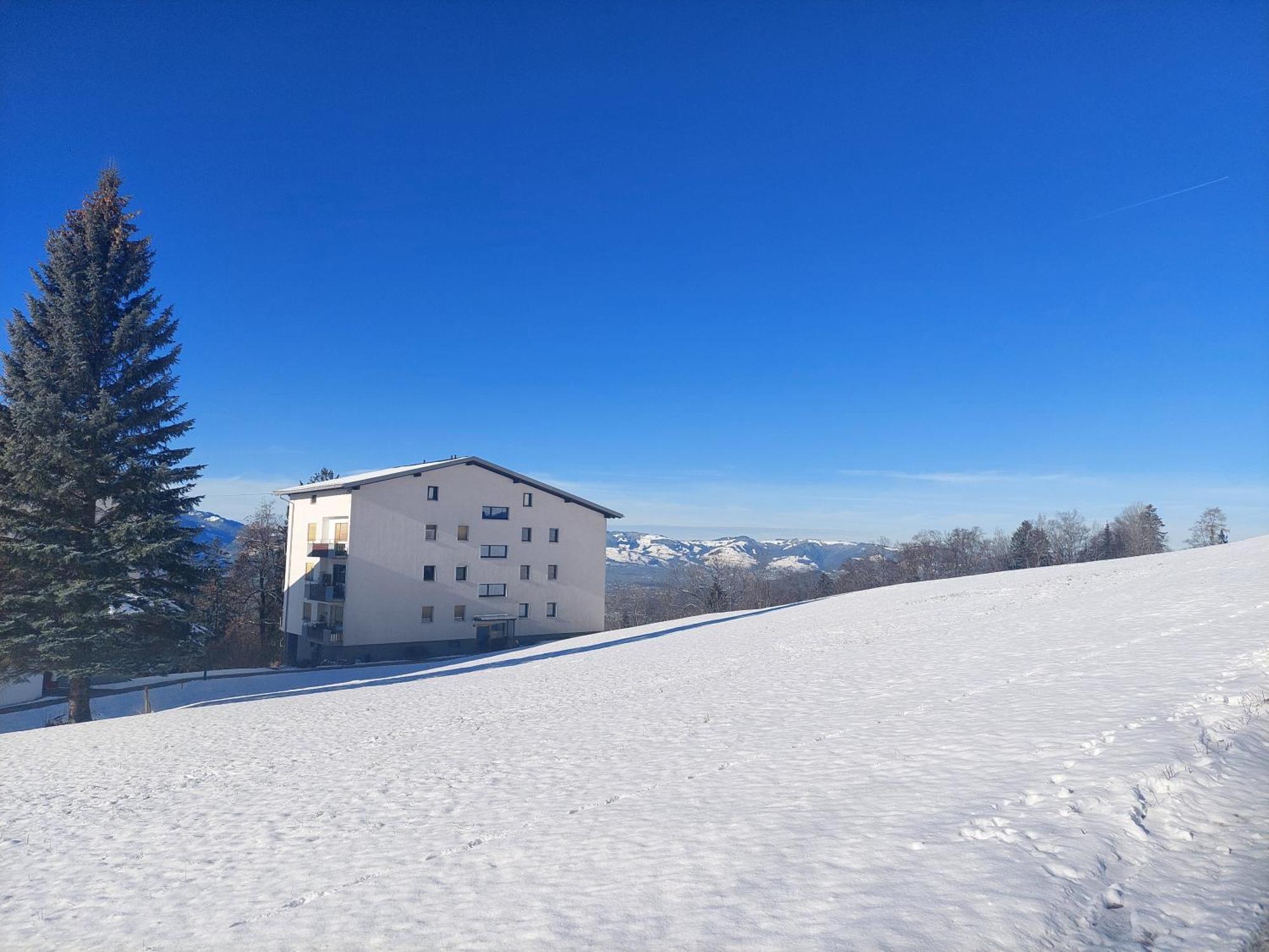 Gemuetliche Wohnung Mit Talblick Batschuns Eksteriør bilde