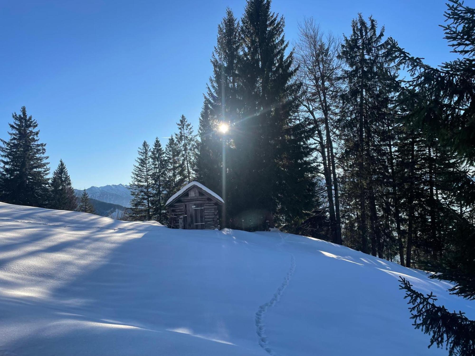 Gemuetliche Wohnung Mit Talblick Batschuns Eksteriør bilde